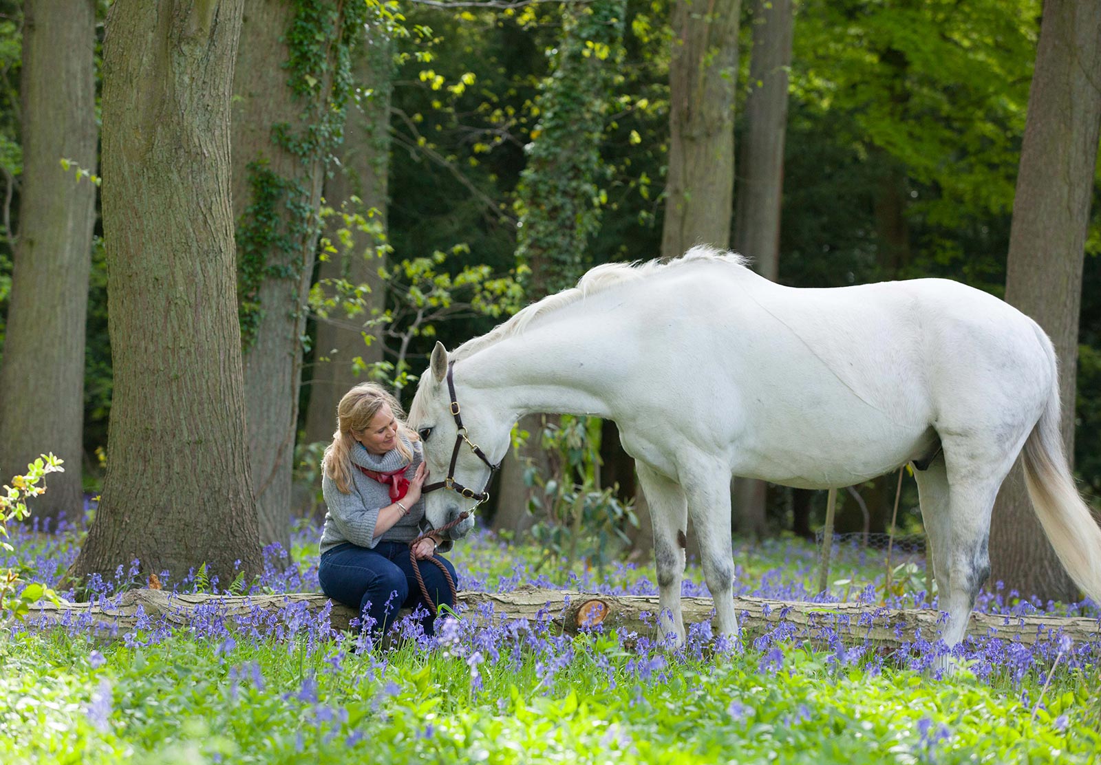 Jane Rayner Photography: Horse And Dog Portraits testimonial